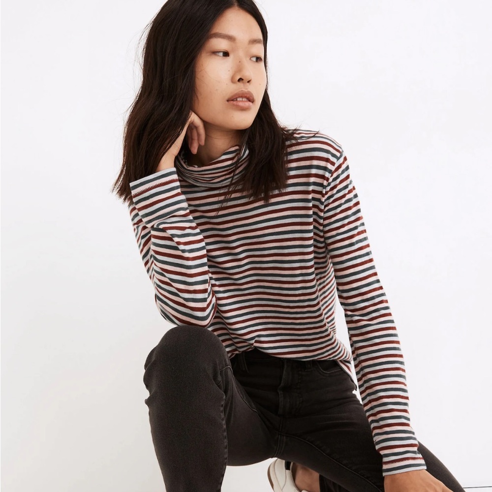 Whisper Cotton Turtleneck in Herrick Stripe
